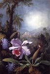 Orchids, Passion Flowers and Hummingbird Martin Johnson Heade