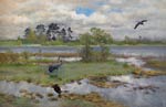 Landscape with Cranes by the Water Bruno Liljefors