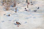 Bullfinch in Winter Landscape Gunnar Aberg