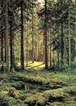 Coniferous Forest. Sunny Day Shishkin, Ivan Ivanovich