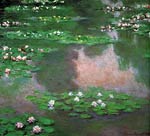 The water lilies Monet