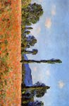 Poppy Field Monet