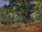 The bodmer oak fontainebleau forest 1865