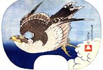 Flaying Falcon Katsushika Hokusai