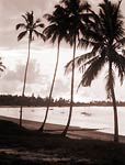 Zanzibar Sunset, 1936