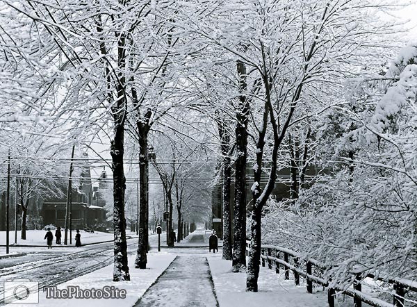 City Street Winter Snow Detroit, Michigan 1900's - Click Image to Close