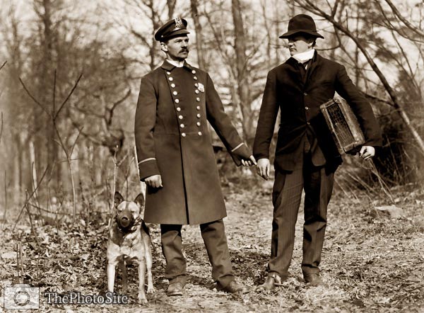 Police dogs policeman and thief, New York City 1912 - Click Image to Close