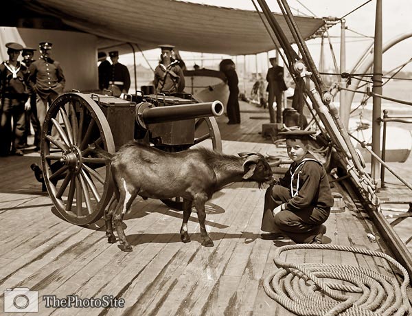 U.S.S. New York warship, Pitch the goat mascot - Click Image to Close