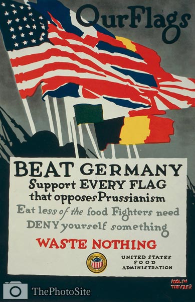 Beat Germany Support every flag that opposes Prussianism - WWI - Click Image to Close
