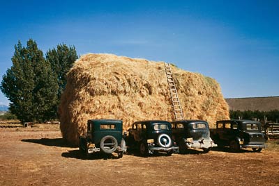 Giant haystack and old cars, Colorado 1940
