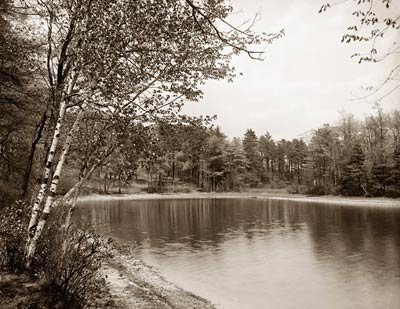 Thoreau's cove, Lake Walden, Concord, Massachusetts