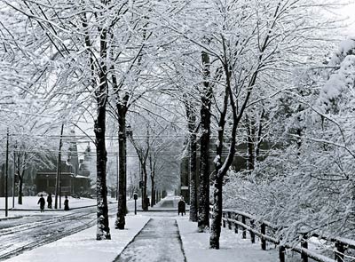 City Street Winter Snow Detroit, Michigan 1900's