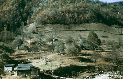 Old rustic shanty houses in Southern U.S. 1940