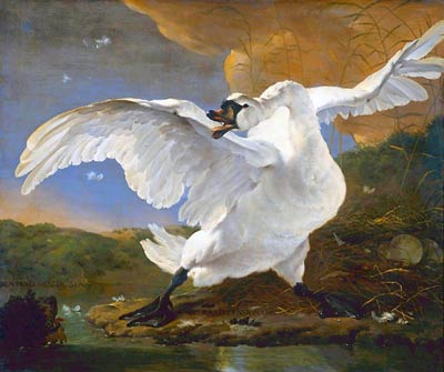 The threatened swan by Jan Asselijn