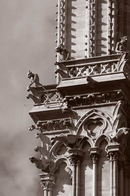 Notre Dame gargoyle, Paris