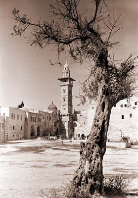 Bible Lands. Jerusalem, Tower of Antonia