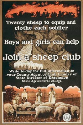 Join a sheep club Poster