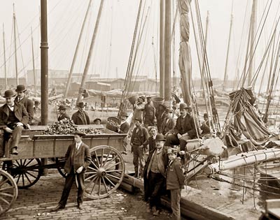 Unloading oyster luggers, Baltimore, Maryland 1905