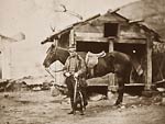 Captain King, horse artillery - Crimean War