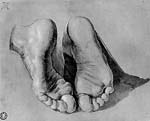 Feet of an apostle, Albrecht Durer