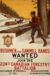 224th Canadian Forestry Battalion War Poster