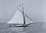 Yacht Commodore Gardner 1905