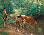 Young herdsman with cattle